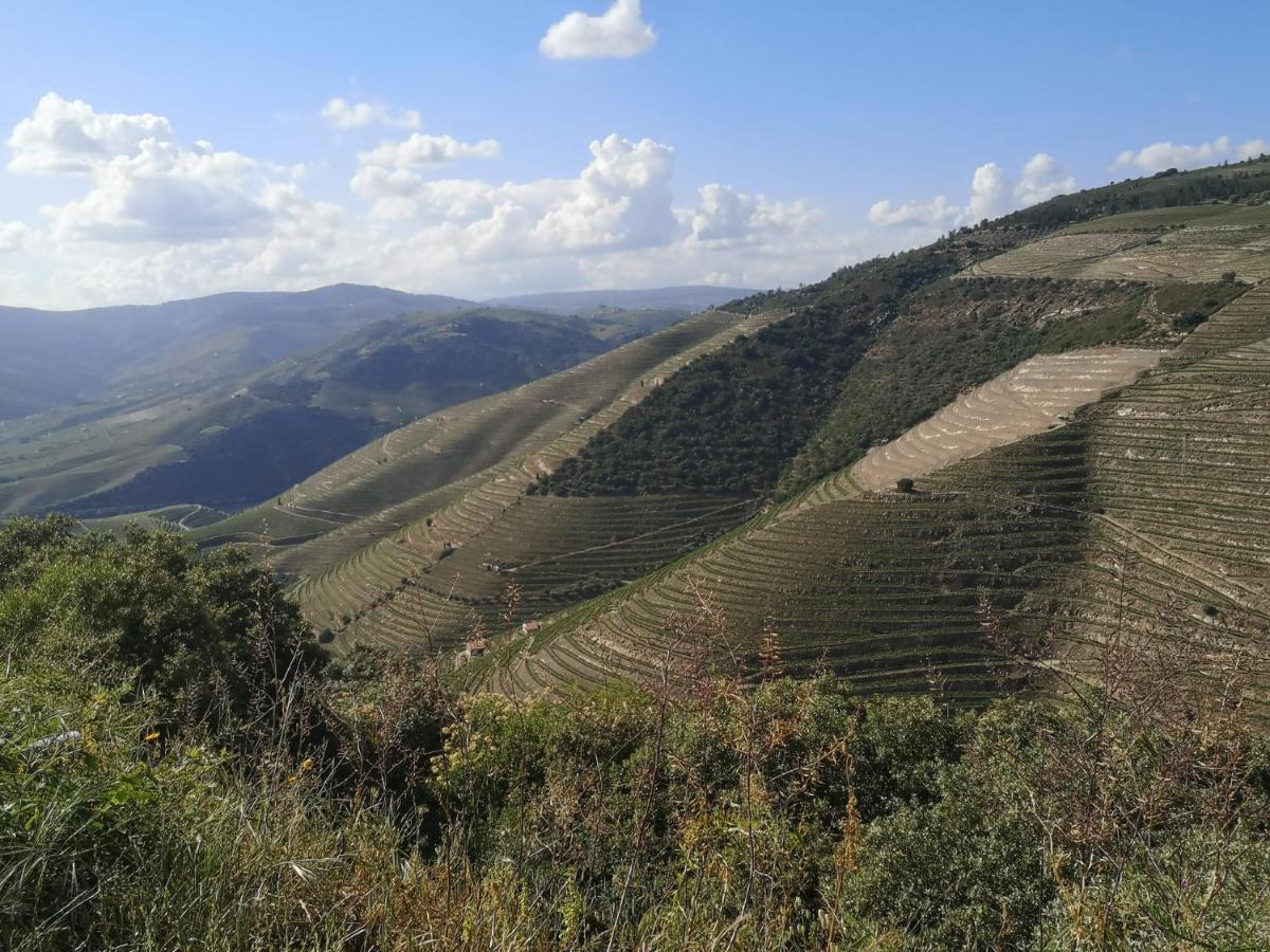 Douro Valley - Casa da Praça Ervedosa do Douro Exterior foto