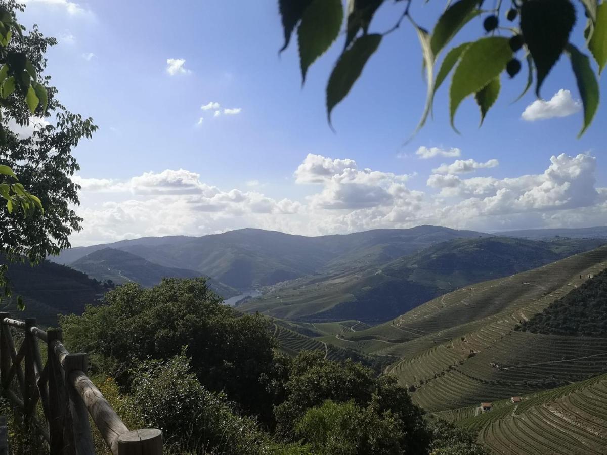 Douro Valley - Casa da Praça Ervedosa do Douro Exterior foto